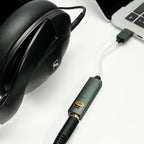 iFi Audio Go Link Max (B-Stock)