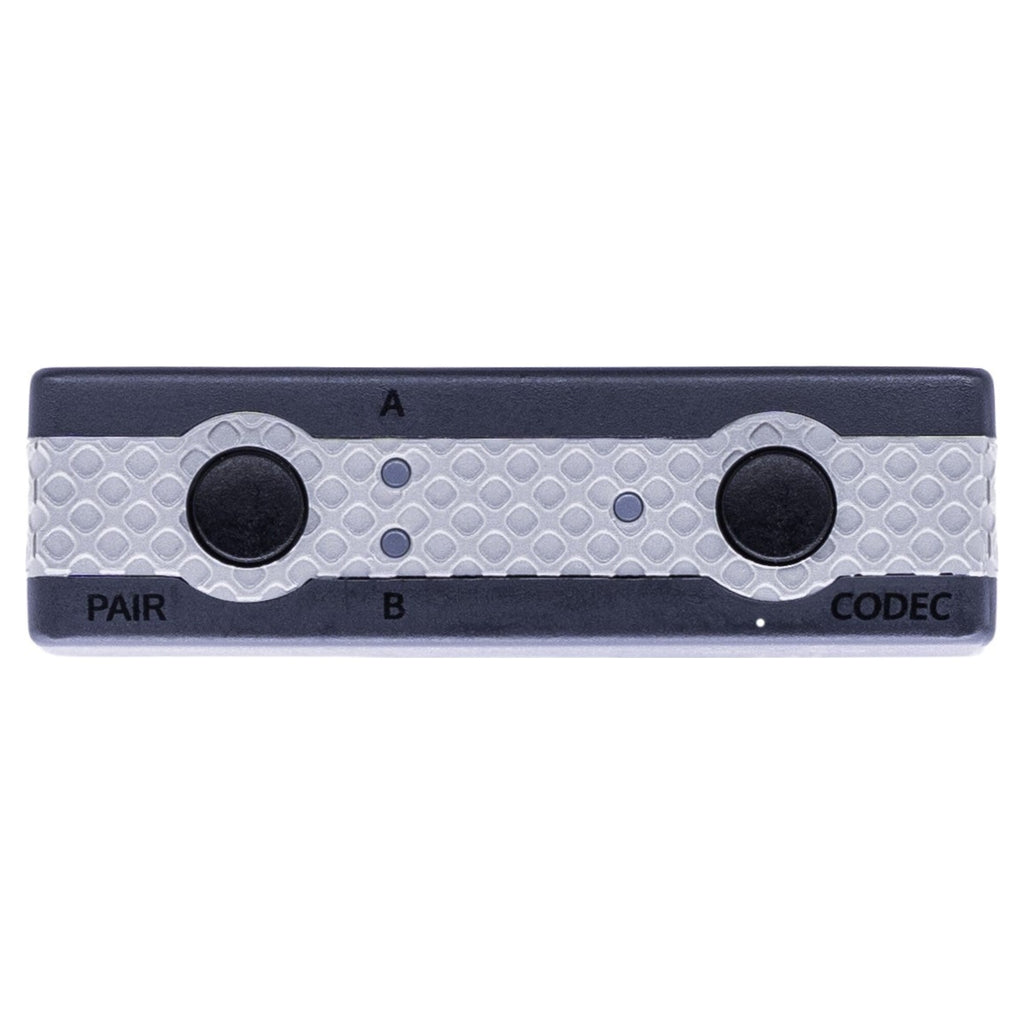 iFi Audio UP Play Max, silver control face with pairing and codec buttons
