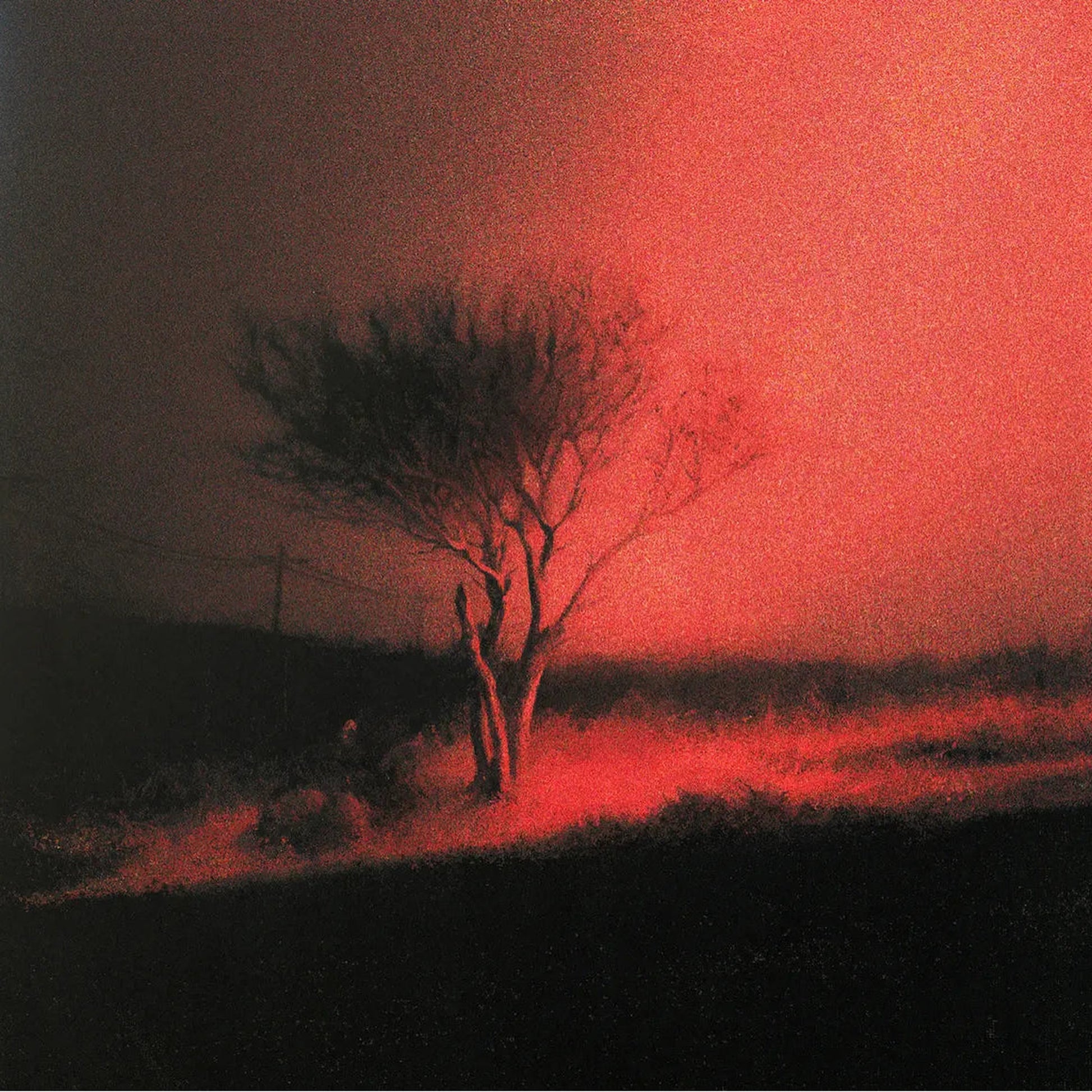 Black vinyl LP of Joji's "Piss In the Wind" by Palace Creek, featuring the album cover with artwork and record label.