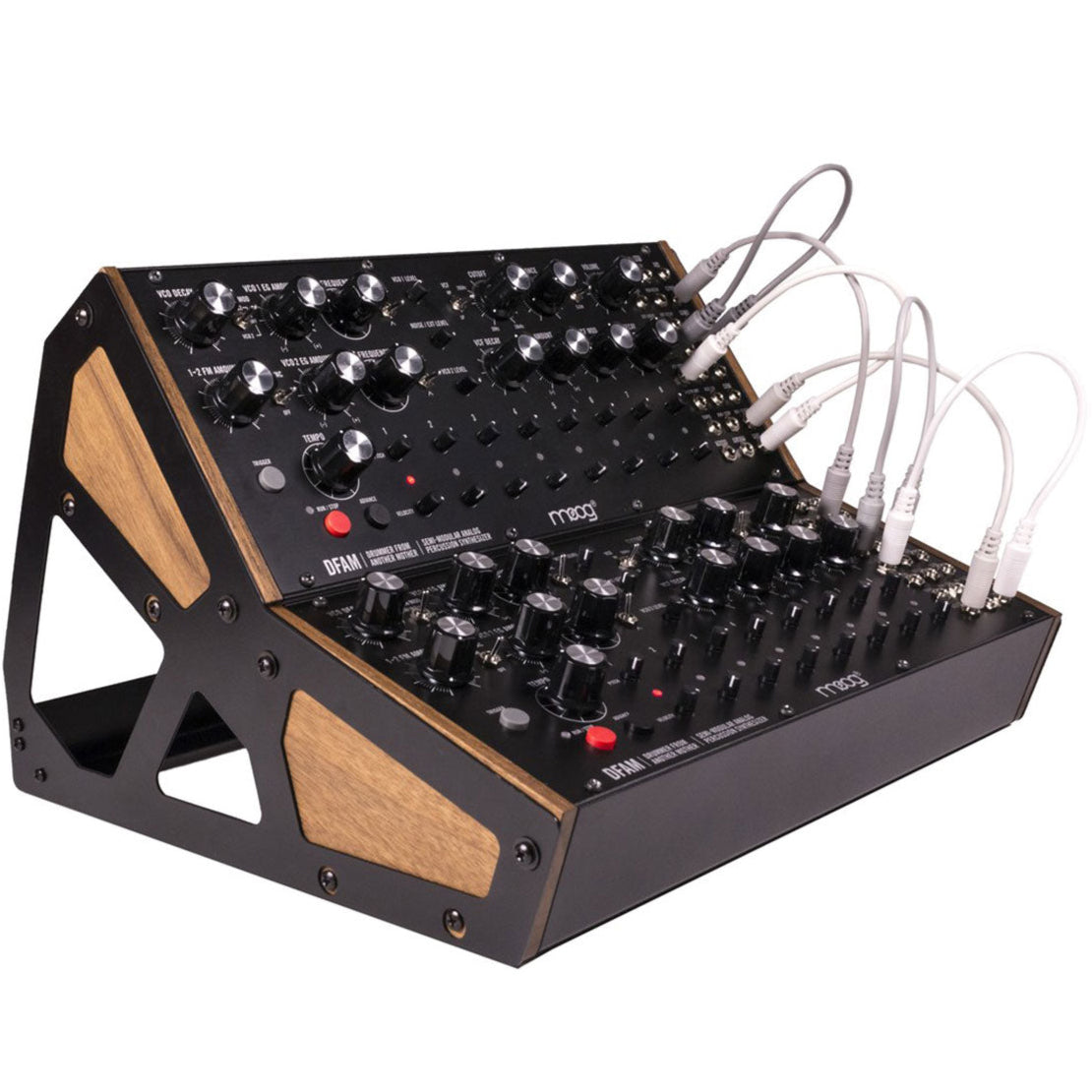 鍵盤楽器 Moog DFAM Moog DFAM – Soundium