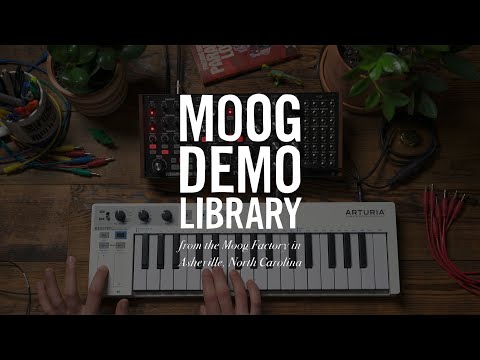 Moog Subharmonicon | Synthesizers | Soundium