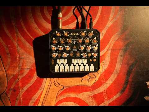 Animal Factory Amplification Asura official video