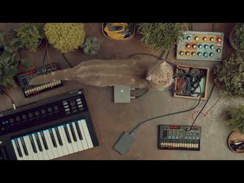Ielādēt video: 