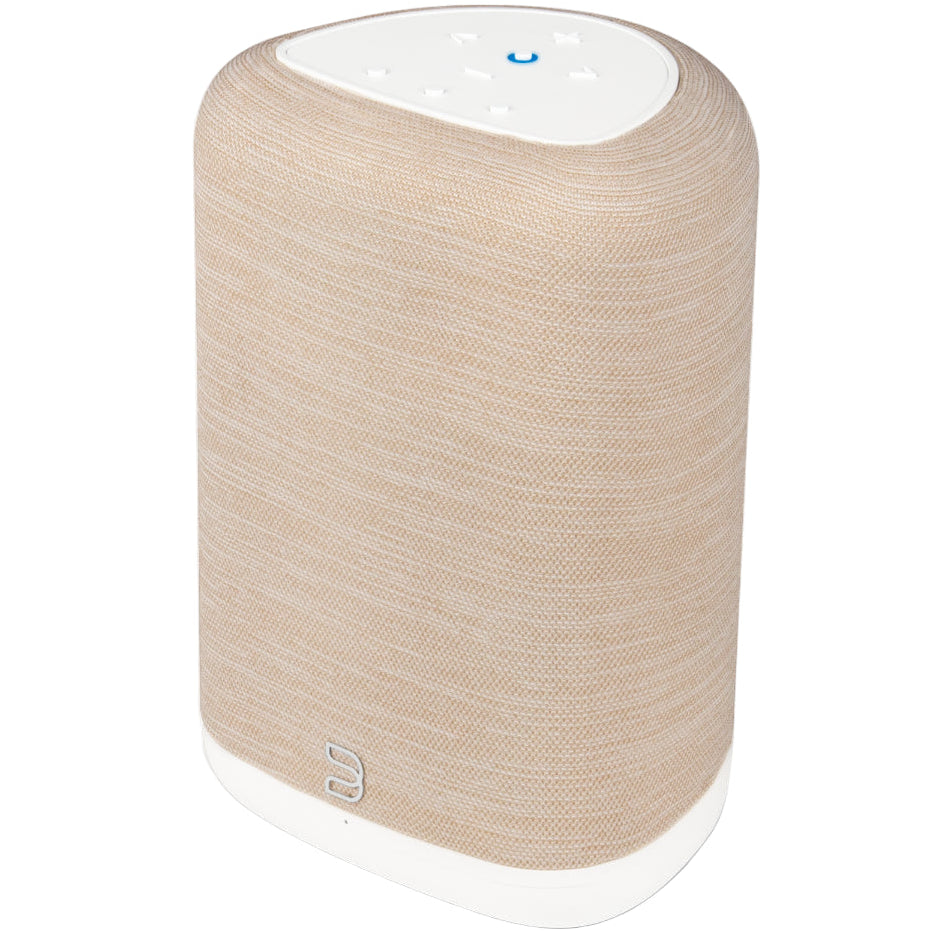 Bluesound Pulse Flex (2025)