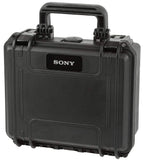Sony C-100