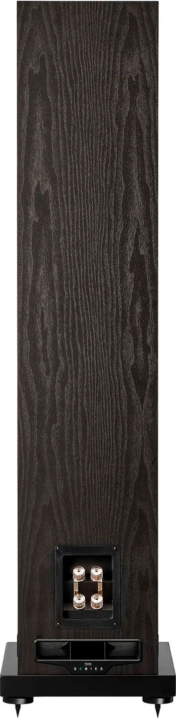 Fyne Audio F501E