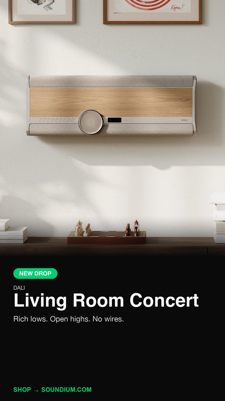 Living Room Concert