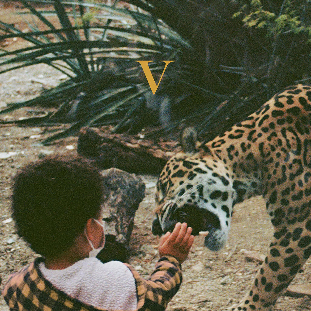 Unknown Mortal Orchestra - V (Black) Vinyl 2LP