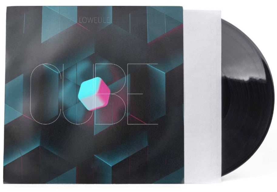 Reloop Premium 12-inch vinyl record sleeves with polylined interior, set of 50, protecting collectible records from dust and scratches.
